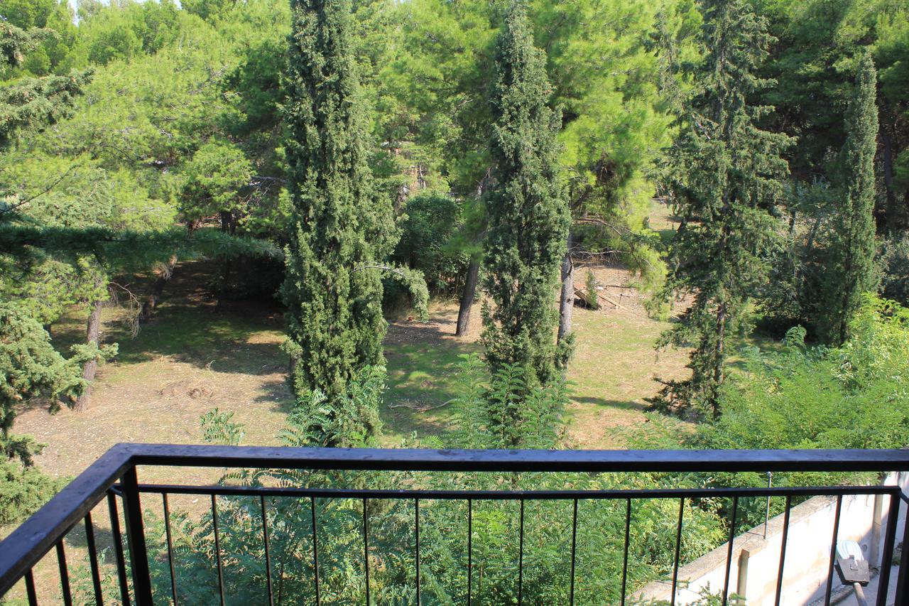B&B Il Giardino In Citta - Parcheggio Privato Gratuito Фоджа Екстер'єр фото